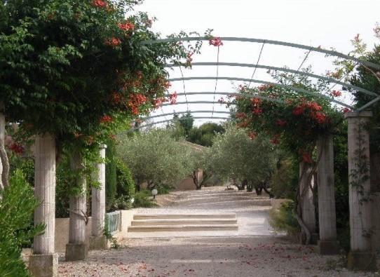 הוילה Saint-Rémy-de-Provence Le Mazet 40 מראה חיצוני תמונה